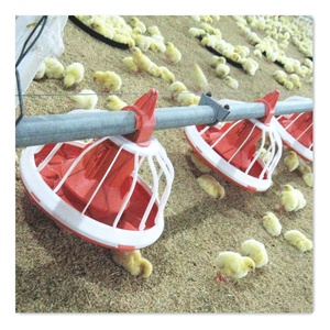 <span class=keywords><strong>Serie</strong></span> Leon attrezzatura completa per polli da carne e pollame per allevamento di strati completamente automatica - Product Image 5