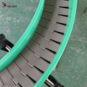 Maxsen otomatik konveyör şişe üretim hattı düz üst zincir konveyör POM zincir çelik yeni paslanmaz çelik makine kemer - Product Image 3