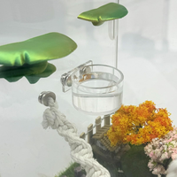 Ensemble de bols d'alimentation magnétiques pour araignées sauteuses, bol d'eau pour reptiles et pinces de nourrissage, accessoires pour mini terrarium d'araignées