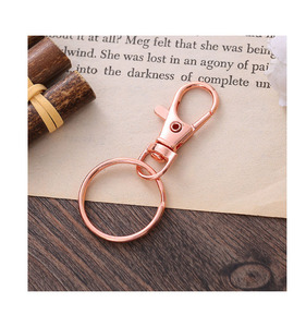 Vàng Bạc Đen Brass Xoay Dây Buộc Snap Hook Xoay Tôm Hùm Claw Clasp Với 25Mm Chia Vòng Chìa Khóa Cho DIY Thủ Công Mỹ Nghệ - Product Image 4