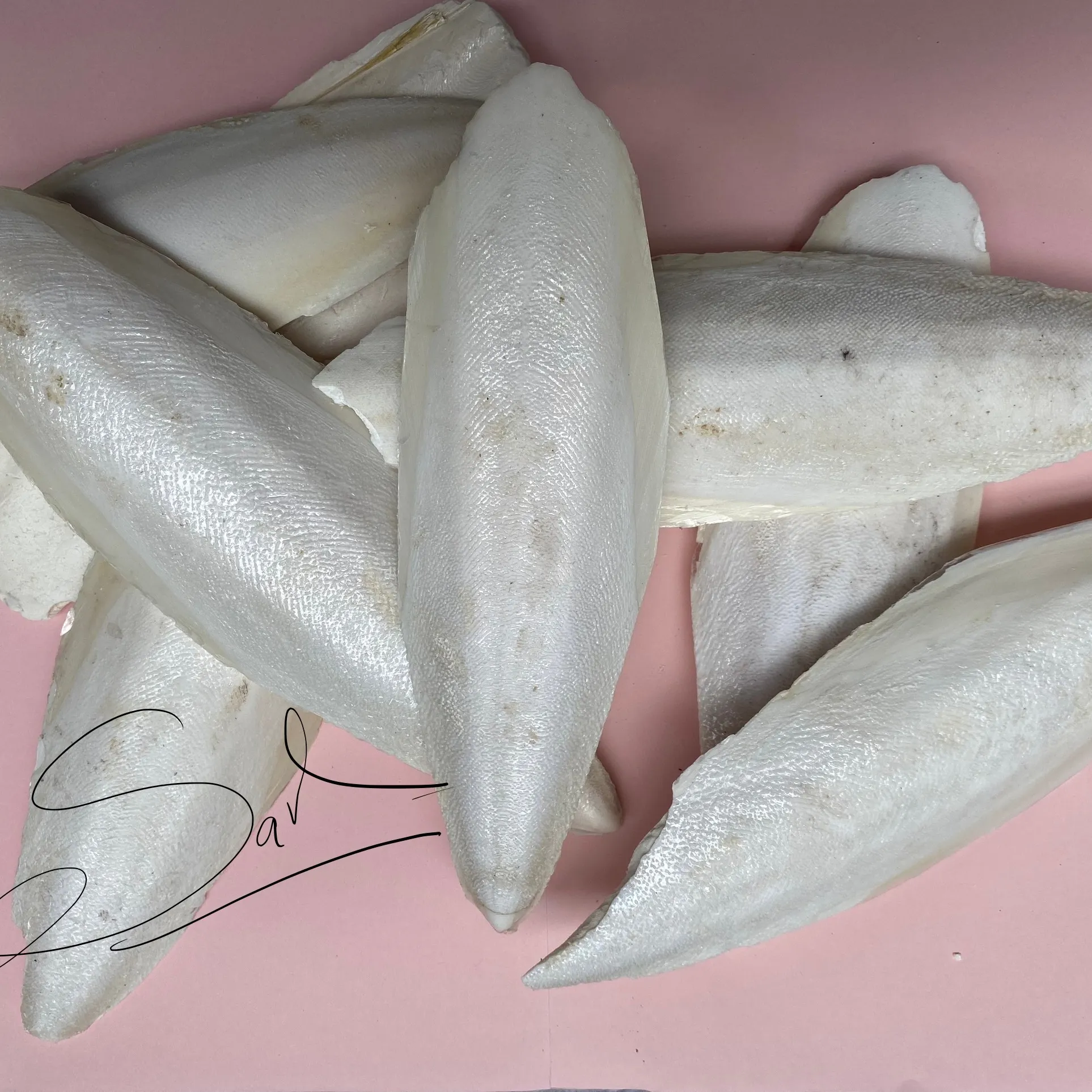 CUTTLEFISH BONE-動物飼料イカ骨ペットフード鳥用