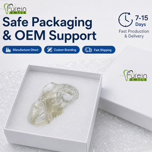 Modelo de cráneo dental de conejo directo de fábrica, modelo de dientes transparente para clínica veterinaria, mandíbula anatómica para consultorio veterinario canino - Product Image 5