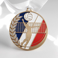 Médailles de récompense en alliage de zinc avec logo personnalisé, effet brillant, émail durable, découpe et impression, pour volley-ball, gymnastique, fête