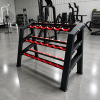 Support de rangement pour haltères de fitness commercial, capacité 10 paires, ensemble de supports pour haltères de gym, machine de rangement pour haltères de beauté