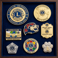 Pins en alliage de zinc personnalisés, Halloween, Croc, médicaux, magnétiques, avec logo, conception sur mesure, émail métallique, Lions Club