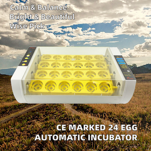 Incubateur à œufs automatique <span class=keywords><strong>HHD</strong></span> WONEGG Classic <span class=keywords><strong>24</strong></span> œufs avec contrôle de la température et retournement des œufs - Product Image 2