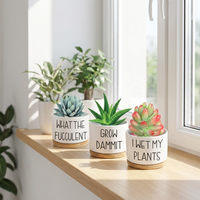 Pot de fleurs en céramique rétro personnalisé, petit Cactus, tapis de plantes succulentes blanches avec plateau en bambou