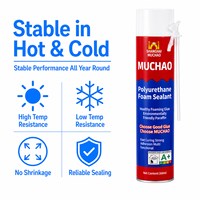 MUCHAO 300ml A21 Mastic Polyuréthane Écologique Formule Professionnelle Usage Construction Monocomposant Haute et Basse Température