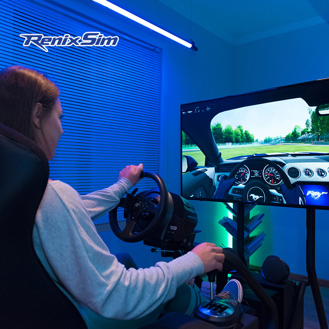 Renixsim Professional Gaming Racing Sim Simulator Cockpit Driving Rig 9D VR Game Theme Park GT Simracing