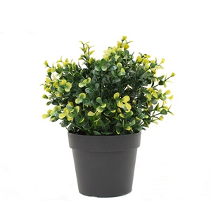 Bonsai Factory Sale Various Modern Bonsai Artificial Garden Decoration Plastic Flower Pot