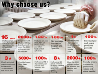 Plats de service en céramique avec logo personnalisé, OEM ODM, vente en gros, assiettes en porcelaine, vaisselle pour hôtel et restaurant, livraison directe d'usine