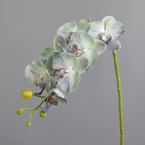 H-587 anggrek ungu lateks grosir 7 kepala bunga anggrek putih anggrek <span class=keywords><strong>Phalaenopsis</strong></span> sentuhan nyata anggrek - Product Image 2