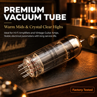 Tube à vide EH EL84 d'origine, équivalent 6P14, paire assortie de précision, remplace 6BQ5 N709 pour amplificateur de guitare audio Hifi