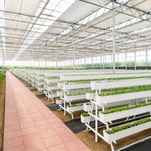 Sistema de Cultivo Hidropónico NFT con Canales de PVC para Cultivo de <span class=keywords><strong>Lechuga</strong></span>, Equipo de Cultivo <span class=keywords><strong>Vertical</strong></span> Comercial para Invernaderos - Product Image 6