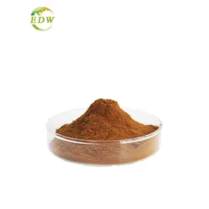 Poudre d'extrait sec d'herbe d'échinacée purpurea d'extrait de qualité alimentaire