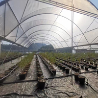 Serre multi-travées de type tunnel en polyfilm pour l'agriculture, abri de pluie pour la culture de légumes et de fruits en zone tropicale