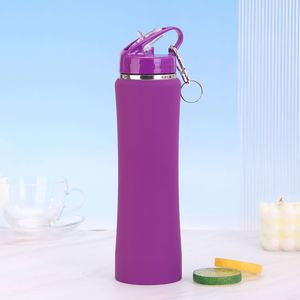 Bouteille d'eau isotherme en acier inoxydable pour pique-nique en extérieur, 600 ml, 750 ml, bouteille de sport à double paroi sous vide avec couvercle à paille, pot à boisson portable - Product Image 5