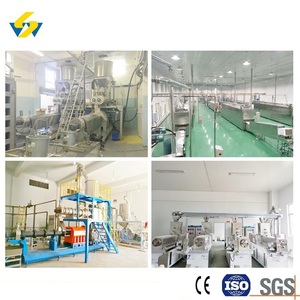 Fabricant et fournisseur chinois d'extrudeuses <span class=keywords><strong>à</strong></span> double vis pour aliments pour animaux de compagnie, spécialisées dans la production de granulés pour chats, avec différentes capacités de production. - Product Image 4