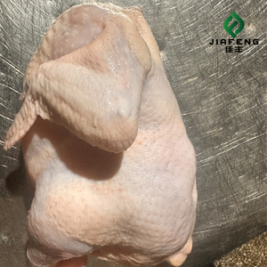 <span class=keywords><strong>Pollo</strong></span> Halal, las Comidas Maestros Comienzan Aquí - Product Image 6
