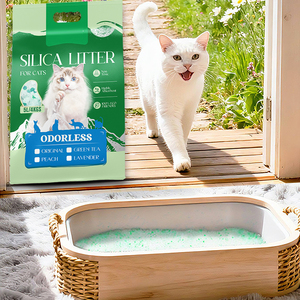 Fournitures pour animaux de compagnie en gros, litière pour <span class=keywords><strong>chat</strong></span> en gel de silice cristallin, indicateur de pH, soins de santé écologiques, surveillance - Product Image 1