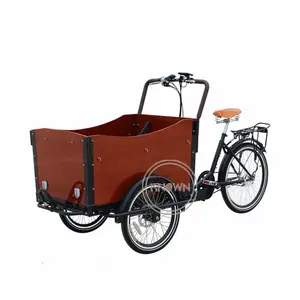 OEM高品質カーゴバイク子供キャリーカートペット犬シェアペダル三輪車屋外電気タイプ配送バイク全体販売