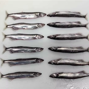 Wholesale Good Price Top Quality Frozen <strong>Capelin</strong> Whole Round - Product Image 1
