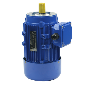 Motore asincrono trifase <span class=keywords><strong>Cpg</strong></span> 220/380V/660V/415V gabbia di scoiattolo motore a induzione 7.5 kW motore elettrico MS63-4 50/60Hz IC411 - Product Image 3