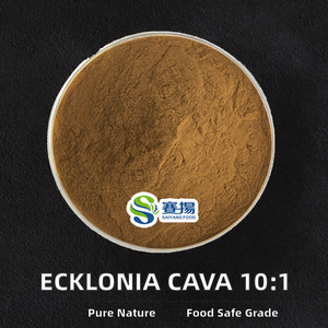 Poudre d'extrait d'Ecklonia Cava sauvage 100% naturelle de qualité alimentaire, Vitamine B9, Extrait concentré 10:1, Emballage en vrac en bouteille - Product Image 3