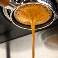 Tête de portafiltre sans fond en acier inoxydable 304, 51 mm, 2 oreilles, type plat, avec poignée en bois pour machines à expresso Delonghi 310/311