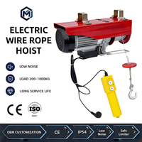 Mini-treuil électrique CE antirouille, anticorrosion, résistant à l'usure, télécommande sans fil 220V pour levage en entrepôt et vente au détail
