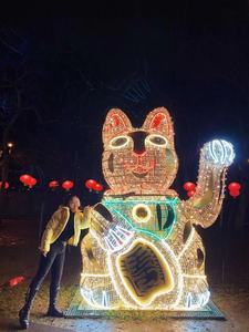 Cadena de Luces LED Grande Personalizada con Personajes Animados, Decoraciones Navideñas para Exteriores con Clasificación IP65 - Product Image 1