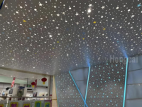 Panneau de plafond perforé d'éclairage à LED Carreaux de plafond colorés personnalisés en métal perforé avec éclairage à LED Plafond troué en aluminium avec éclairage