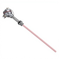MTS200 : Céramique 0-1300 ℃   Capteur de température haute précision IP65 étanche à l'eau K/S/PT100 avec tube en 316SS/304SS/INCONEL600/Corindon