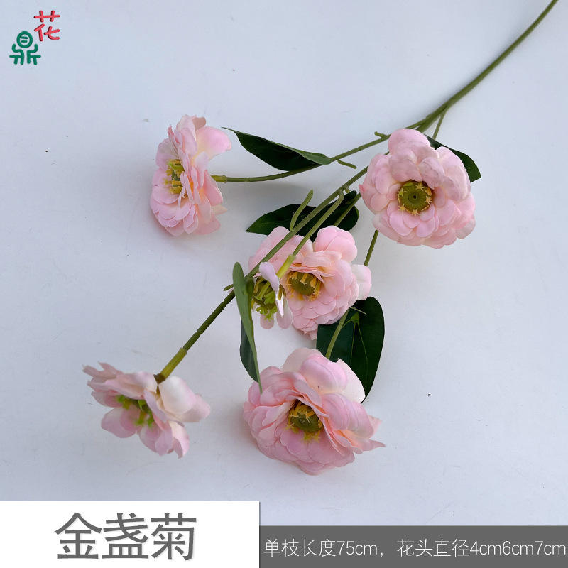 Calendula jyg light pink