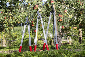 Sécateurs de jardinage fabriqués en <span class=keywords><strong>Suisse</strong></span>, 28 pouces, légers et de précision pour l'élagage des arbres |   Coupe-branches d'arbre |   Outil de taille d'arbres - Product Image 2