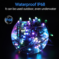 DC5V 8206 Pixel Nœuds Fil Blanc IP68 Bullet LED Pixel Lights RVB Adressable Dream Color CE ROHS Bande Lumineuse Intelligente