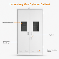 Armoire de sécurité pour bouteilles de gaz de laboratoire, casier de stockage en acier avec fenêtre d'observation ventilée pour laboratoire de recherche