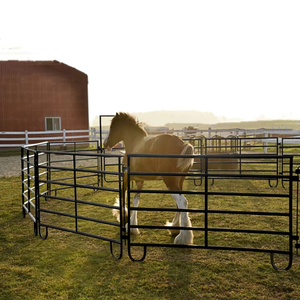 Paneles Galvanizados Reforzados para Caballos/Ganado con Modelado 3D para Corrales y Cercas de Ganado en Australia - Product Image 3