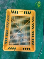 Cage de transport pour volailles vivantes en plastique de haute qualité, livraison commerciale, chargement facile, design ventilé, taux de survie élevé, longue durée de vie