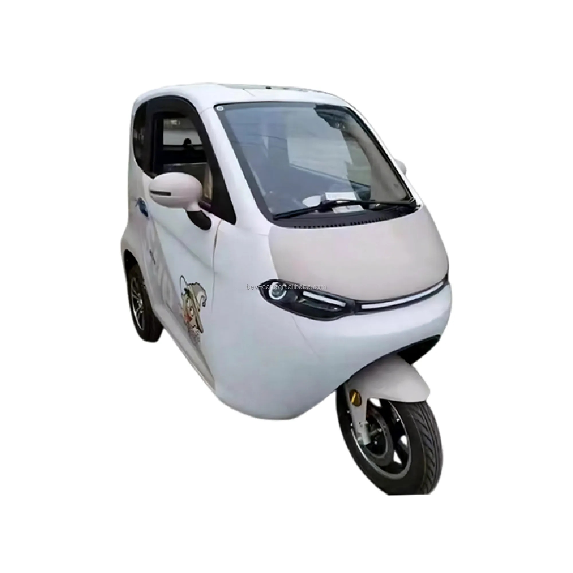 Vente en gros de mini tricycle électrique entièrement fermé pour adultes tricycle électrique certifié EU EEC