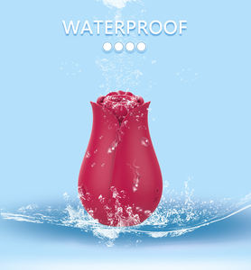 Mainan Seks Usb Dapat Diisi Ulang 10 Frekuensi Silikon Klitoris Mawar Klitoris Klitoris Vibrator Mengisap untuk Wanita - Product Image 2