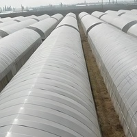 Serre agricole simple travée en acier galvanisé avec système hydroponique et couverture en PE pour tomates
