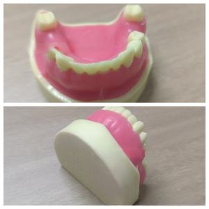 Modelo de práctica de implante dental anatómico con Molde de resina, entrenamiento de ciencia médica, hueso simulado y encías blandas, diente faltante - Product Image 2