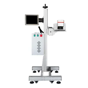 Máy Khắc Laser Bay Trực Tuyến Máy In Laser UV 3W 5W Mã Hóa Tự Động Bằng Nhựa Kim Loại Ngày Xuất Xưởng Carton