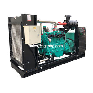 닭 분뇨 용 1mw 3mw 100kva 125kva 250kw 발전기 소형 바이오 가스 엔진 동력 <span class=keywords><strong>Chp</strong></span> 전기 발전기 가격 공장 - Product Image 4