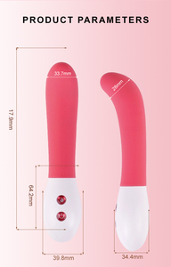 Vibromasseur point G Rose alimenté par USB pour femmes jouets sexuels pour adultes avec vibrateur Bullet caractéristiques gode vagin - Product Image 6