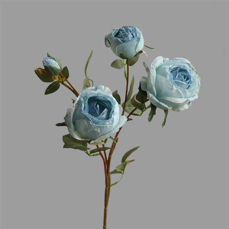 #5 Azul