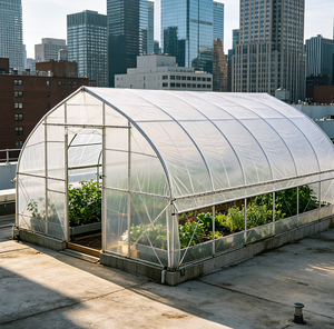 Serre tunnel agricole double couche grande taille à <span class=keywords><strong>prix</strong></span> usine, serre commerciale en polytunnel pour l'agriculture - Product Image 6