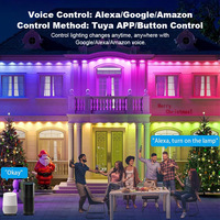 Vente en gros RGBW Gemstone IP65 WiFi Outdoor Custom Smart Lighting pour la décoration de vacances permanentes Lumières de Noël