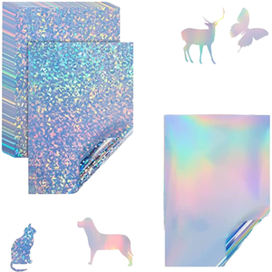 Película Protectora Holográfica Transparente de PET para Pegatinas y Manualidades - Product Image 1